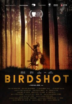 Фильм Дробь (2016)