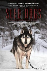 Фильм Ездовые собаки (2016)